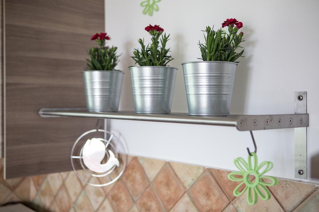 Apartments Roza ميدولين المظهر الخارجي الصورة